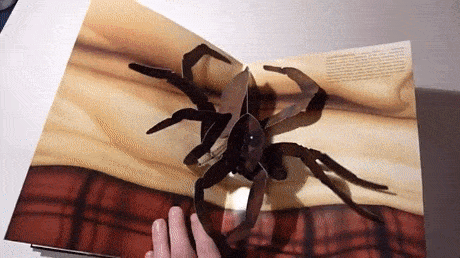 Книга фобий Книга фобий