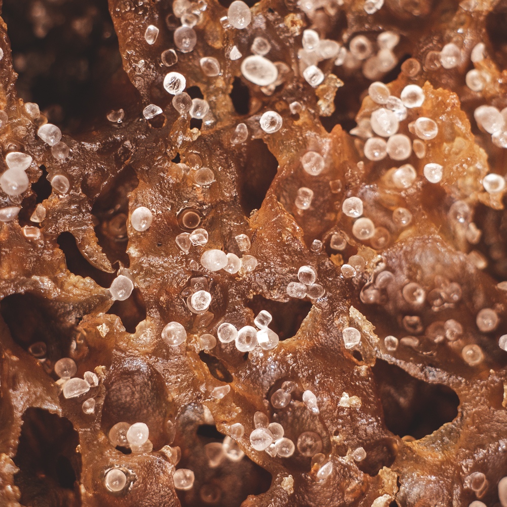 А вы когда нибудь заглядывали в кусочек хлеба с солью? А вы когда нибудь заглядывали в кусочек хлеба с солью?