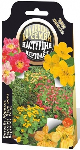 Семена для Вашего сада от компании Биотехника-13. Сорта и гибриды овощных культур для районов с неблагоприятной погодой! Без рядов! Семена для Вашего сада от компании Биотехника-13. Сорта и гибриды овощных культур для районов с неблагоприятной погодой! Без рядов!