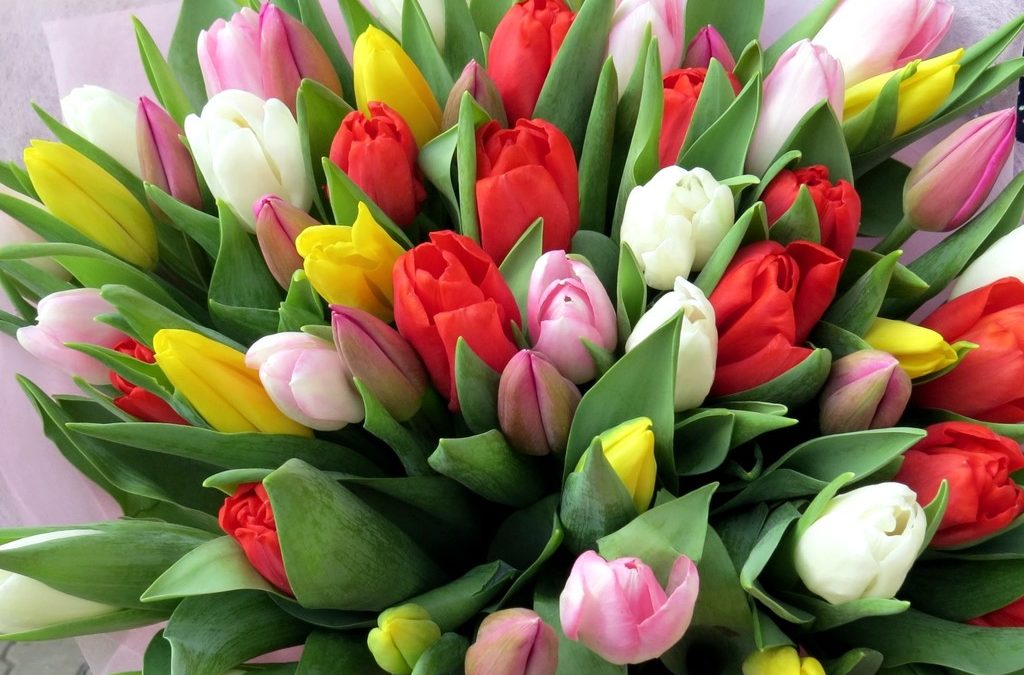 Весенняя Акция от организатора KMALA ! 6,7,8 Марта Весь пристрой +7%! С наступающим Нежным Праздником Вас Девочки!!))) Весенняя Акция от организатора KMALA ! 6,7,8 Марта Весь пристрой +7%! С наступающим Нежным Праздником Вас Девочки!!)))