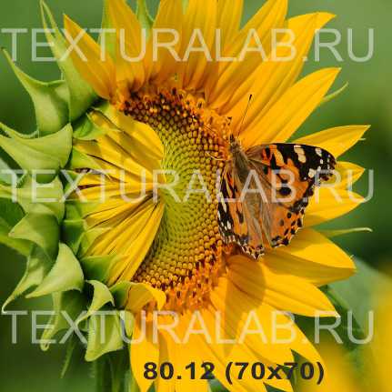 Сбор заказов. Необычные, яркие, принтованные мебельные ткани и картинки на ткани Textura*lab напрямую с производства. Для диванов, подушек, штор, скатертей, покрывал, сумок... Микровелюр, блэкаут. Акция! Цены сказка!- 2 Сбор заказов. Необычные, яркие, принтованные мебельные ткани и картинки на ткани Textura*lab напрямую с производства. Для диванов, подушек, штор, скатертей, покрывал, сумок... Микровелюр, блэкаут. Акция! Цены сказка!- 2