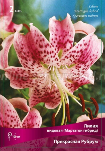 Красавица Лилия - символ роскоши и признак изысканного вкуса! Сегодня СТОП! Красавица Лилия - символ роскоши и признак изысканного вкуса! Сегодня СТОП!