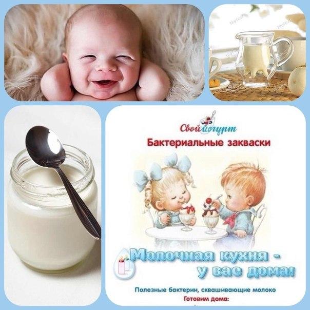 Сбор до 28.04.Закваски "Свой Йогурт" для приготовления кисломолоч.продуктов домa:йогурт,кефир,творог,ряженка,сметана,спец.детские и профилактич.продукты.Оборудование для приготовления и хранения!Акция:AiBi Кефир за 29 р! Сбор до 28.04.Закваски "Свой Йогурт" для приготовления кисломолоч.продуктов домa:йогурт,кефир,творог,ряженка,сметана,спец.детские и профилактич.продукты.Оборудование для приготовления и хранения!Акция:AiBi Кефир за 29 р!