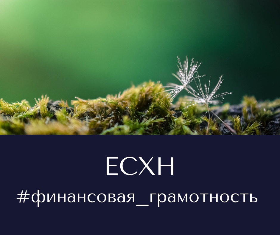 Финансовая грамотность Финансовая грамотность