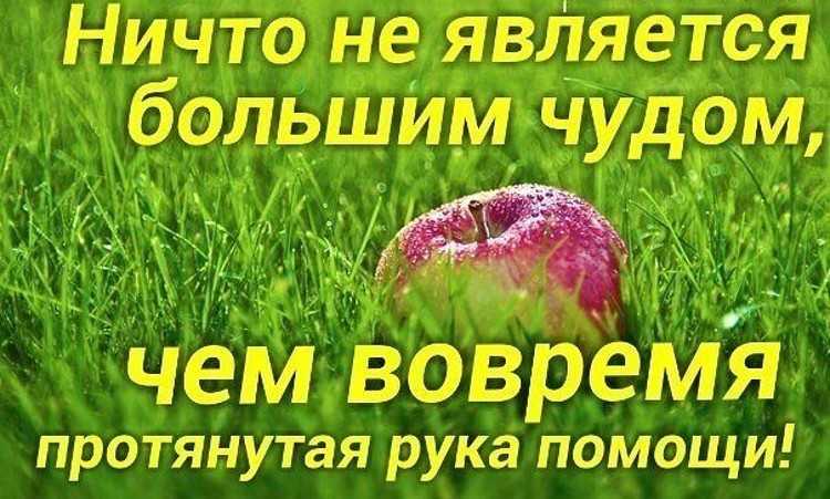 Нужна помощь нашему организатору! Нужна помощь нашему организатору!