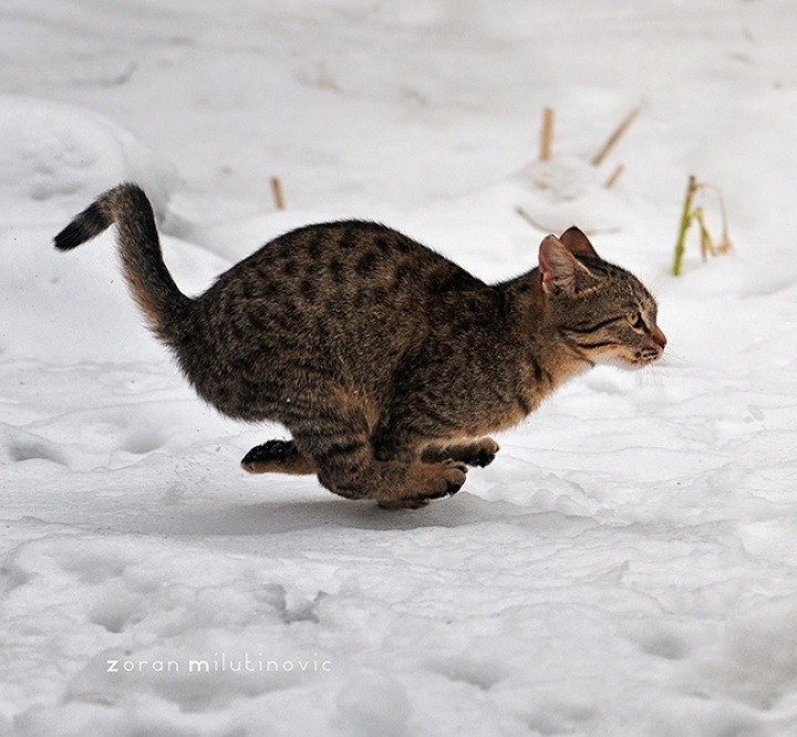 Когда позвали КУШАТЬ Когда позвали КУШАТЬ
