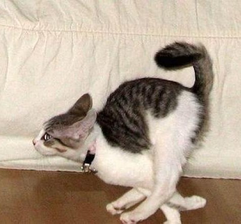 Когда позвали КУШАТЬ Когда позвали КУШАТЬ