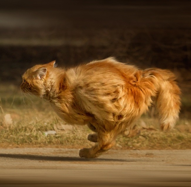 Когда позвали КУШАТЬ Когда позвали КУШАТЬ