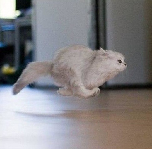 Когда позвали КУШАТЬ Когда позвали КУШАТЬ