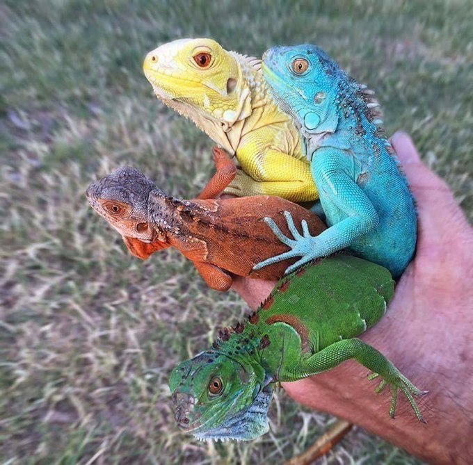 Удивительное Удивительное