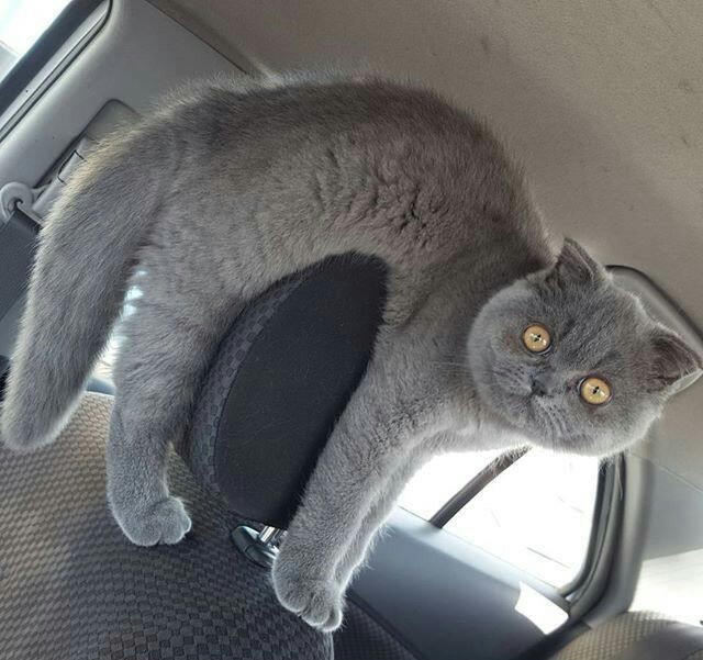 Удачный кадр Удачный кадр