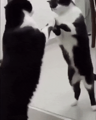 Неожиданный финал Неожиданный финал