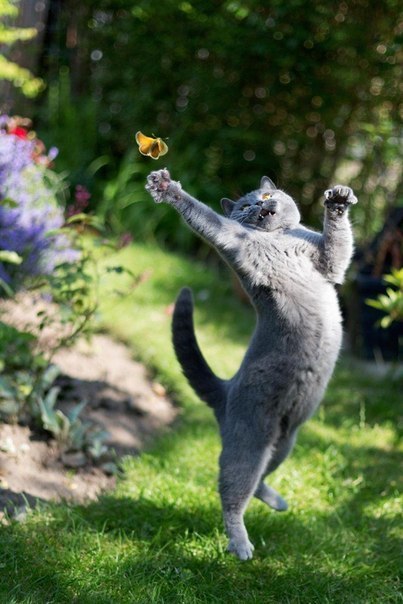 Удачный кадр Удачный кадр