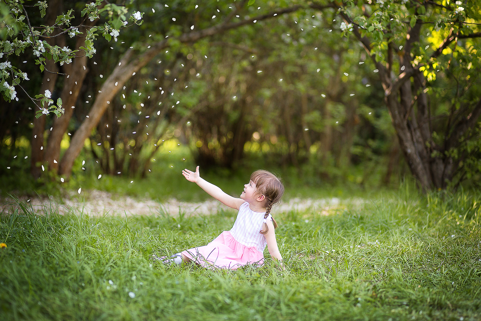 2 июня фотопрогулки 2300! 2 июня фотопрогулки 2300!