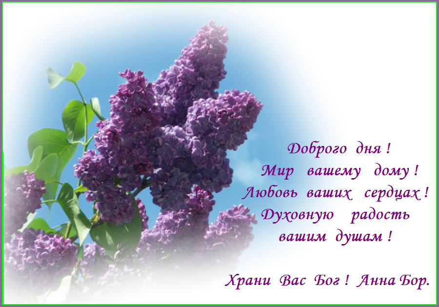 Мир Вам ! Мир Вам !