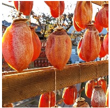 Как вкусно поддерживать красоту? Вяленая хурма нам поможет! Как вкусно поддерживать красоту? Вяленая хурма нам поможет!