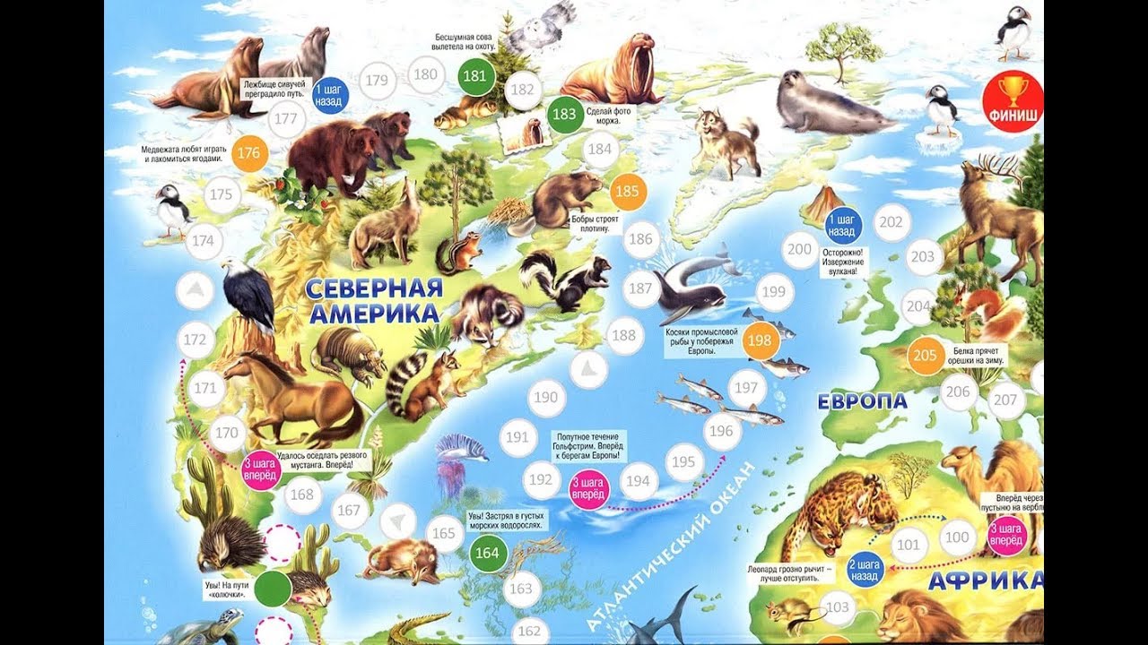 Собираем очень быстро по старым ценам! Экспресс! ГЕОДОМ-50. Географические карты, атласы и пазлы, атласы с наклейками, раскраски, игры-ходилки, карточные игры. Постоплата 13%+доп.скидка 3% при заказах на класс/группу! Собираем очень быстро по старым ценам! Экспресс! ГЕОДОМ-50. Географические карты, атласы и пазлы, атласы с наклейками, раскраски, игры-ходилки, карточные игры. Постоплата 13%+доп.скидка 3% при заказах на класс/группу!