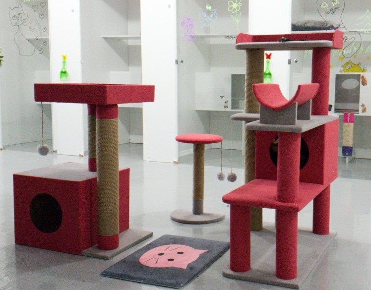 Сбор до 09.06. Домики, Лежанки, Переноски, Вольеры и клетки. Антицарапки, игрушки, шлейки. Когтеточки, Домики, Комплексы для кошек, Лесенки и Диваны для собак - Фабрика Усатый дом-70 Сбор до 09.06. Домики, Лежанки, Переноски, Вольеры и клетки. Антицарапки, игрушки, шлейки. Когтеточки, Домики, Комплексы для кошек, Лесенки и Диваны для собак - Фабрика Усатый дом-70