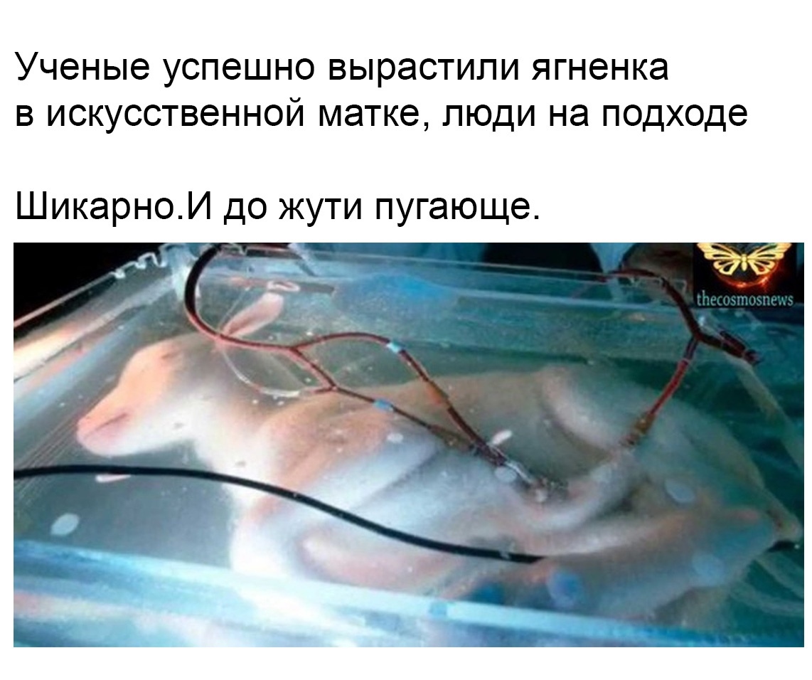 В мире В мире