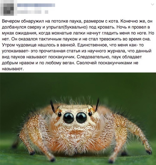 Удивительное Удивительное