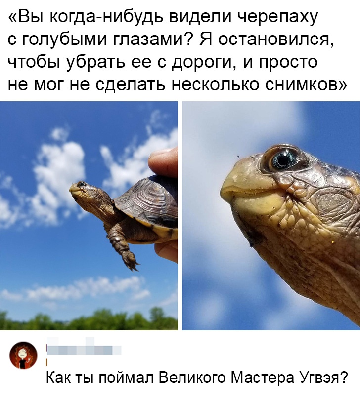 Удивительное Удивительное