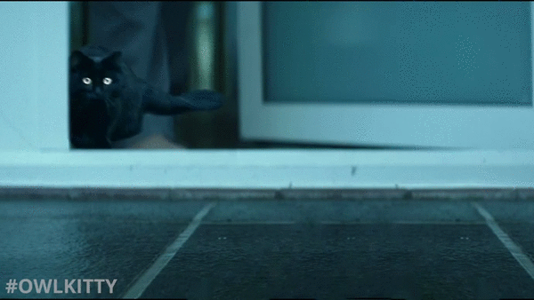 Лучше фильма с Киану Ривзом может быть только фильм с Киану Ривзом и котиком Лучше фильма с Киану Ривзом может быть только фильм с Киану Ривзом и котиком