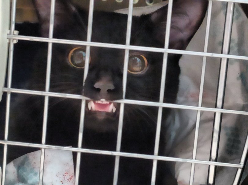 Удачный кадр Удачный кадр