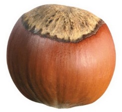 Фундук очищенный крупный - лучшая цена в сети! Фундук очищенный крупный - лучшая цена в сети!