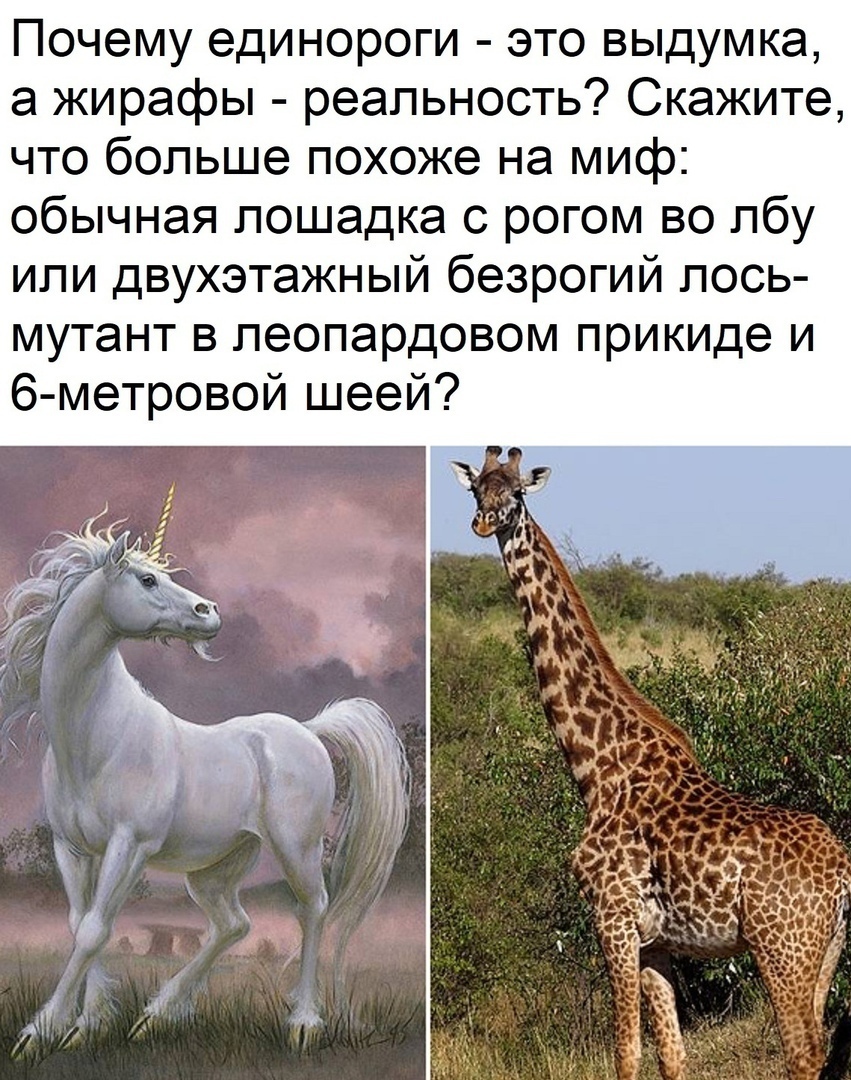Умное Умное