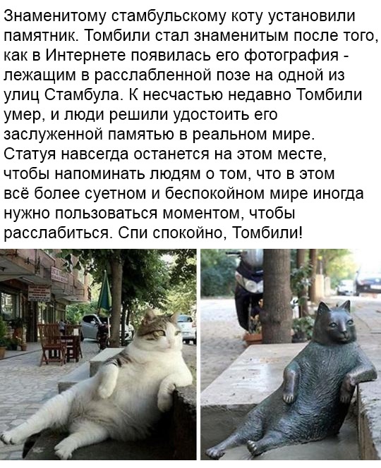 В мире В мире