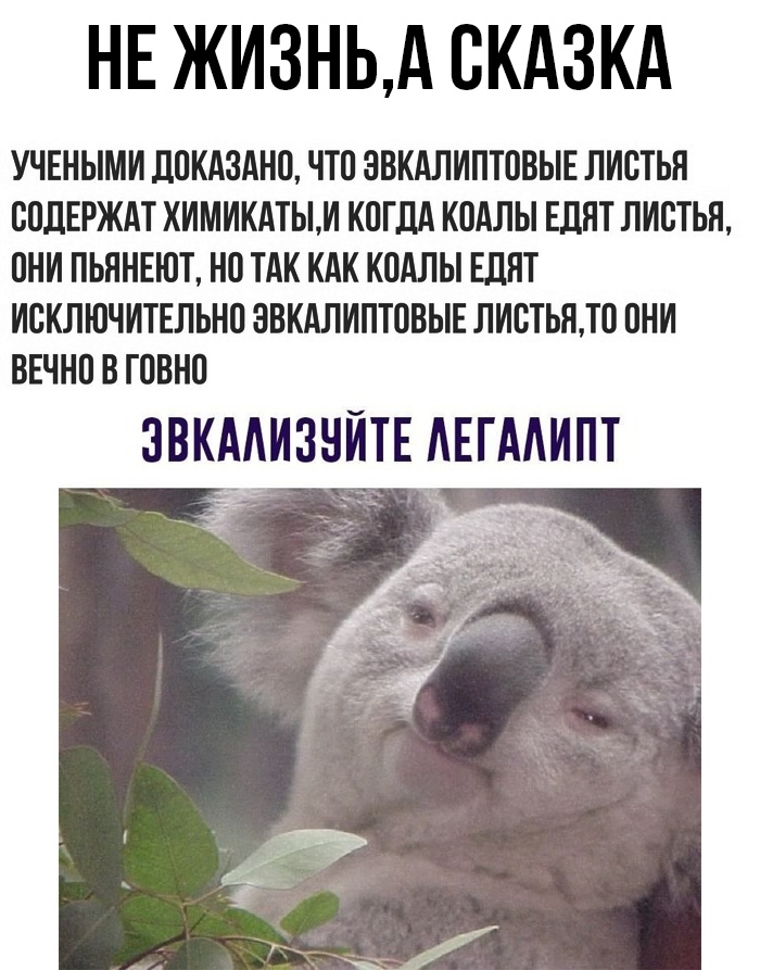 Умное Умное