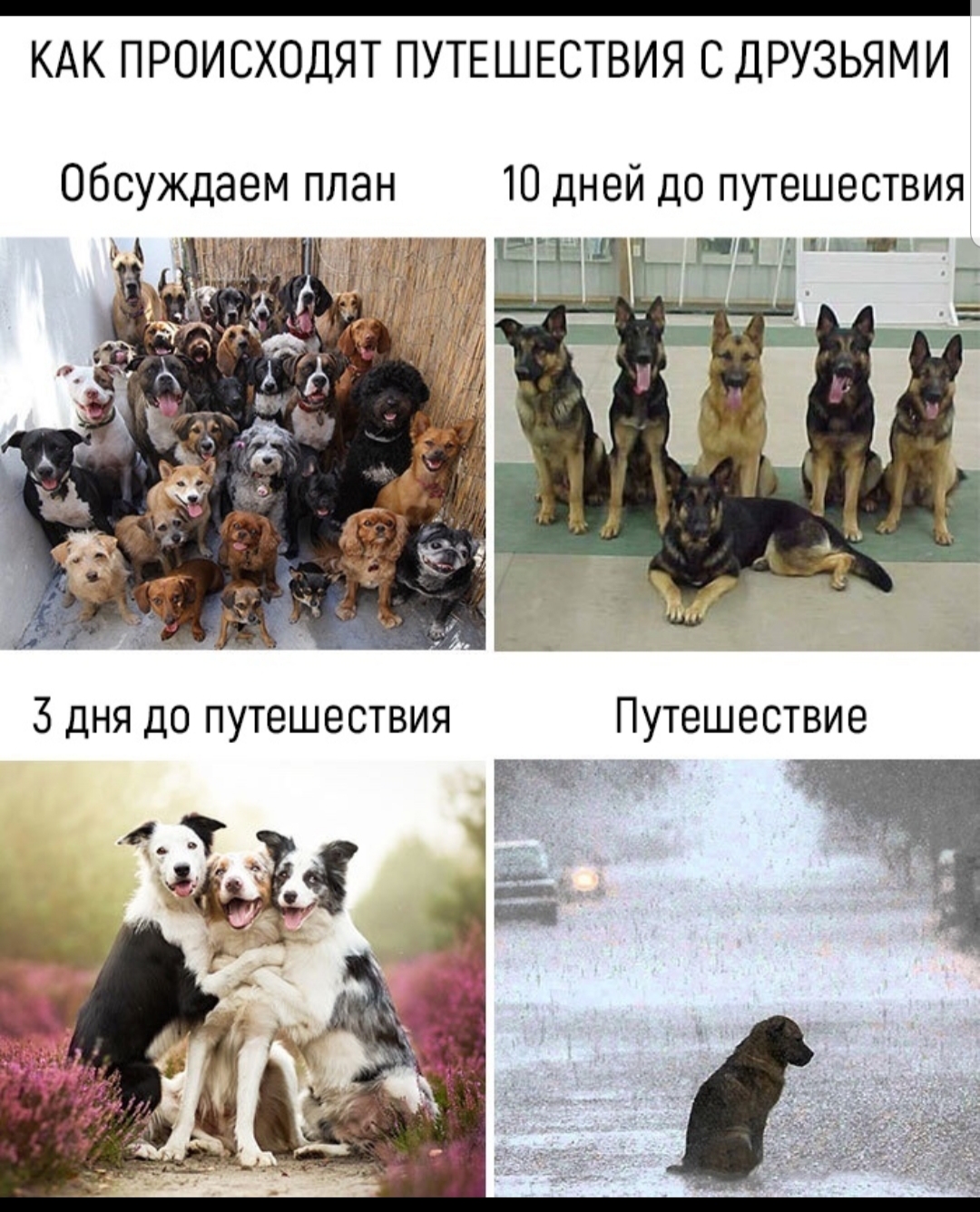 Почему не хочется путешествовать с друзьями... Почему не хочется путешествовать с друзьями...