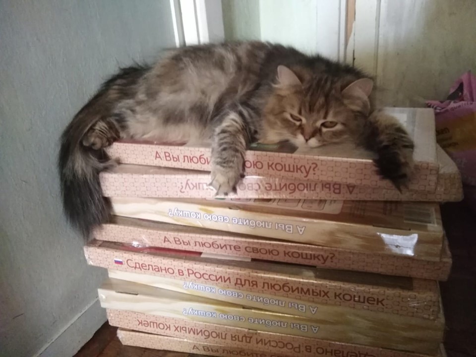 Сбор до 05.09. Когтеточка для котов, кошек и котят - порадуйте своего любимца. Решение всех проблем с ободранной мебелью, коврами, обоями-79 Сбор до 05.09. Когтеточка для котов, кошек и котят - порадуйте своего любимца. Решение всех проблем с ободранной мебелью, коврами, обоями-79