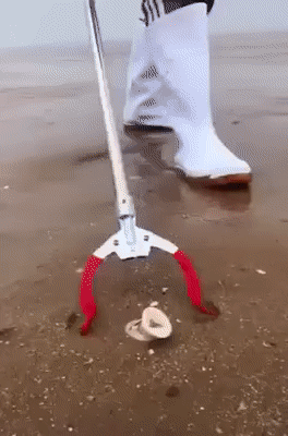 Кого только не встретишь на морском побережье Кого только не встретишь на морском побережье