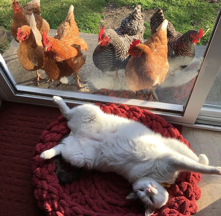 Вот ЭТО дзен, а вот все это вот Вот ЭТО дзен, а вот все это вот