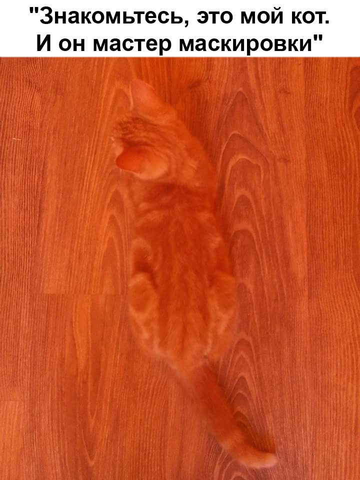 Удивительное Удивительное