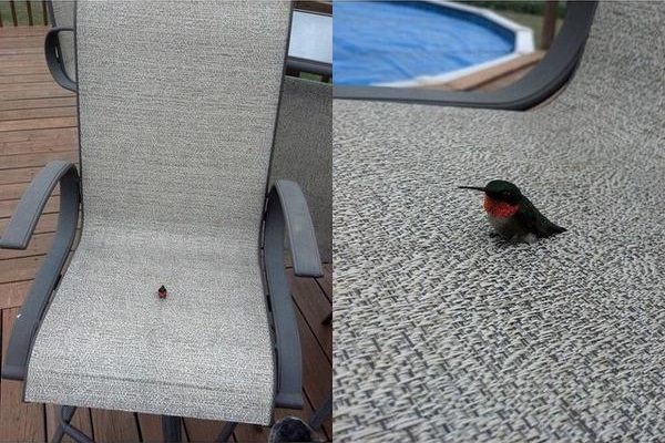 Занято! Занято!