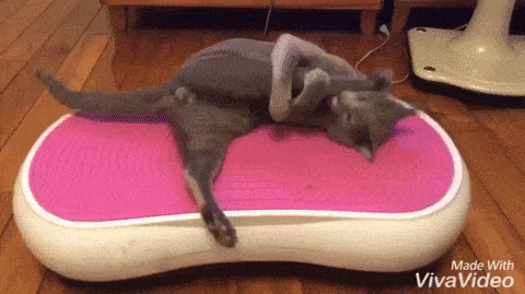 Ккаккк же же же ззздорррооовввооо Ккаккк же же же ззздорррооовввооо