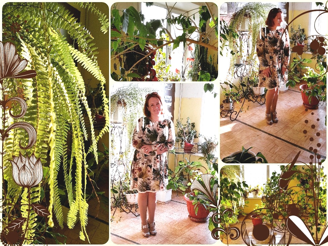 Пассионарность - это энергия, такая же, как та, которую впитывают растения. Пассионарность - это энергия, такая же, как та, которую впитывают растения.