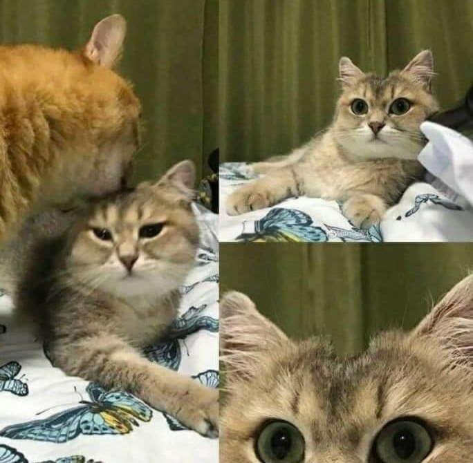 Чувства оставляют следы. Чувства оставляют следы.