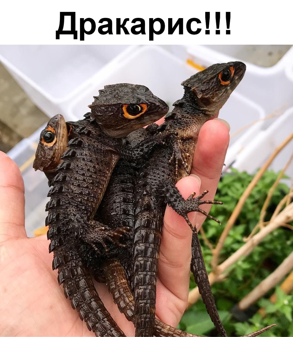 Удивительное Удивительное