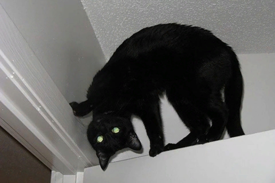 Удачный кадр Удачный кадр