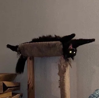 Удачный кадр Удачный кадр