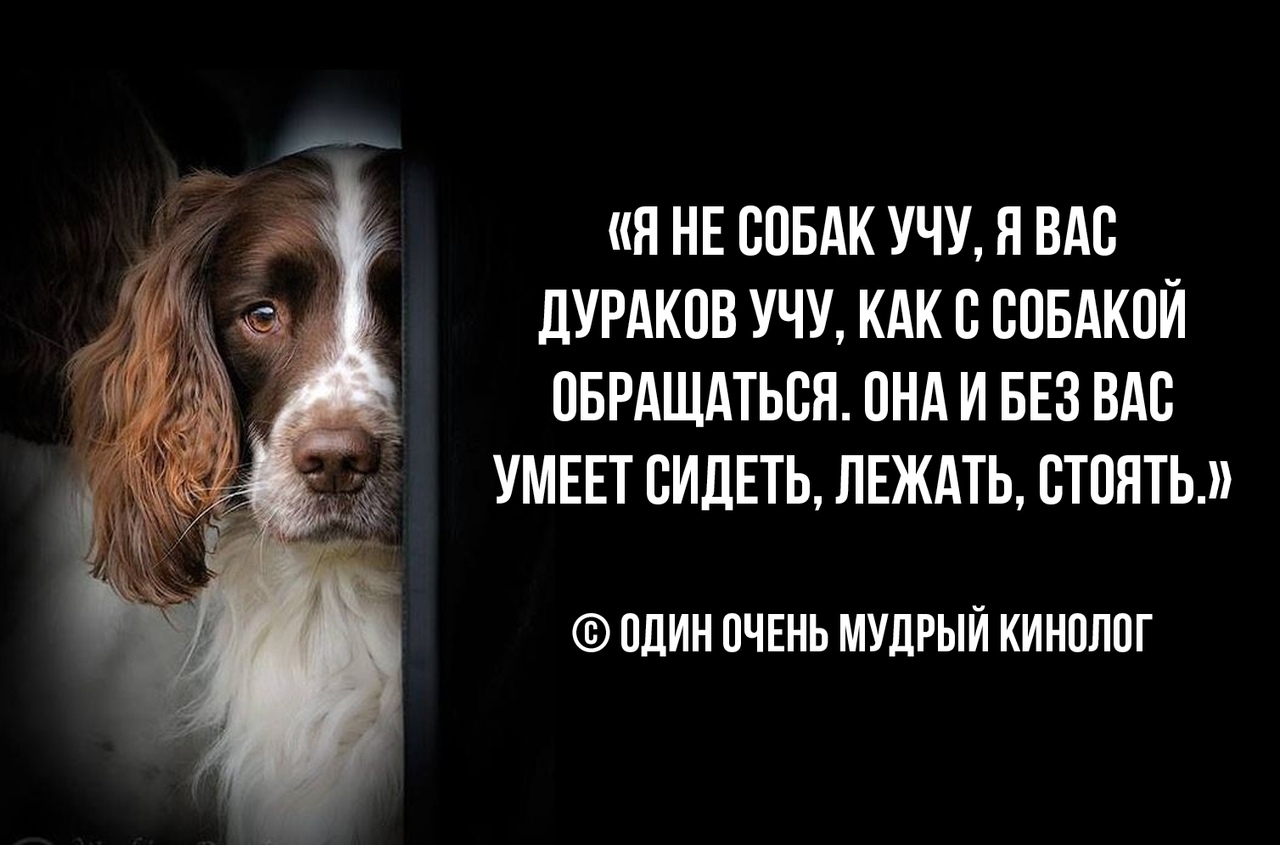 Умное Умное