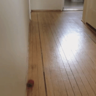 Хронический тыгыдык головного мозга Хронический тыгыдык головного мозга