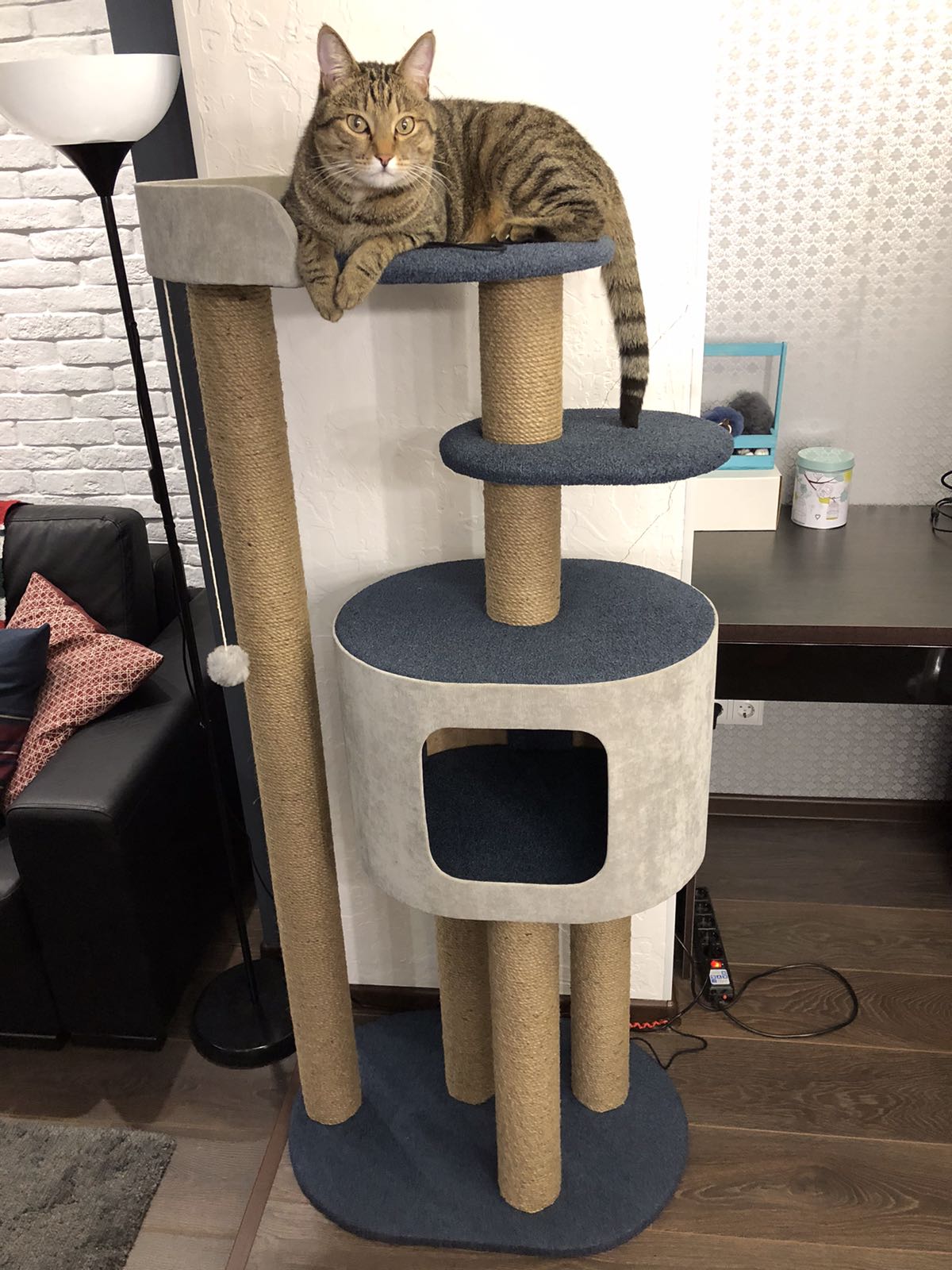 Сбор до 25.10. Домики, Лежанки, Переноски, Вольеры и клетки. Антицарапки, игрушки, шлейки. Когтеточки, Домики, Комплексы для кошек, Лесенки и Диваны для собак - Фабрика Усатый дом-73 Сбор до 25.10. Домики, Лежанки, Переноски, Вольеры и клетки. Антицарапки, игрушки, шлейки. Когтеточки, Домики, Комплексы для кошек, Лесенки и Диваны для собак - Фабрика Усатый дом-73