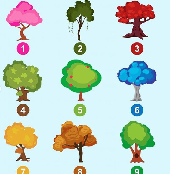 ТЕСТ. ТЕСТ. ТЕСТ. (Я обожаю тесты. А Вы?) ТЕСТ. ТЕСТ. ТЕСТ. (Я обожаю тесты. А Вы?)