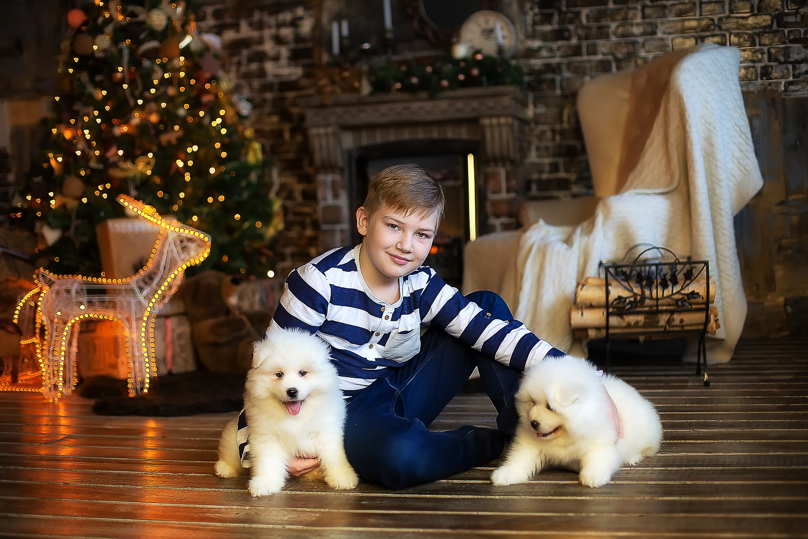 Самый пушистый фотопроект с щенками самоеда! 7 декабря Самый пушистый фотопроект с щенками самоеда! 7 декабря