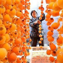 Хурма - оранжевое настроение осени. Приходите в закупку за хурмой! Хурма - оранжевое настроение осени. Приходите в закупку за хурмой!