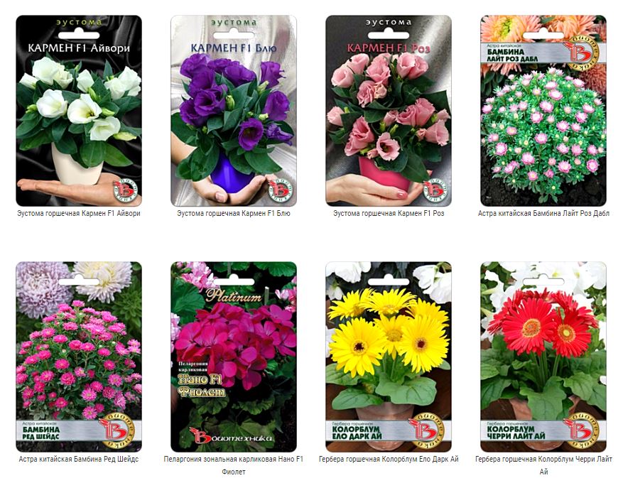 Приятно иметь в своем саду миниатюрные изящные не громоздкие цветущие растения. Это удобно на небольших пространствах, облегчает уход за растением, повышает его мобильность - взял и переставил на другое место! Приятно иметь в своем саду миниатюрные изящные не громоздкие цветущие растения. Это удобно на небольших пространствах, облегчает уход за растением, повышает его мобильность - взял и переставил на другое место!